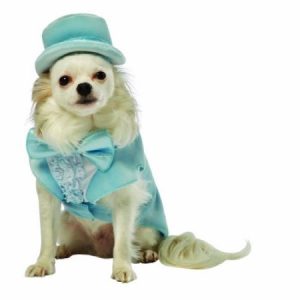 Dumb-Harry Tux Dog XX-Large