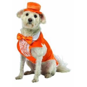 Dumb-Lloyd Tux Dog XXX-Large