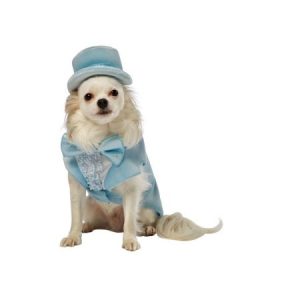 Dumb and Dumber Harry Dunne Tuxedo Dog Costume by Rasta Imposta 4925