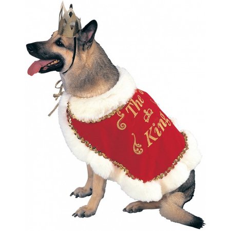 King Pet Pet Costume - Small