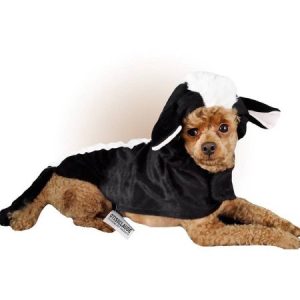 Otis and Claude Fetching Fashion Skunk Costume, XL